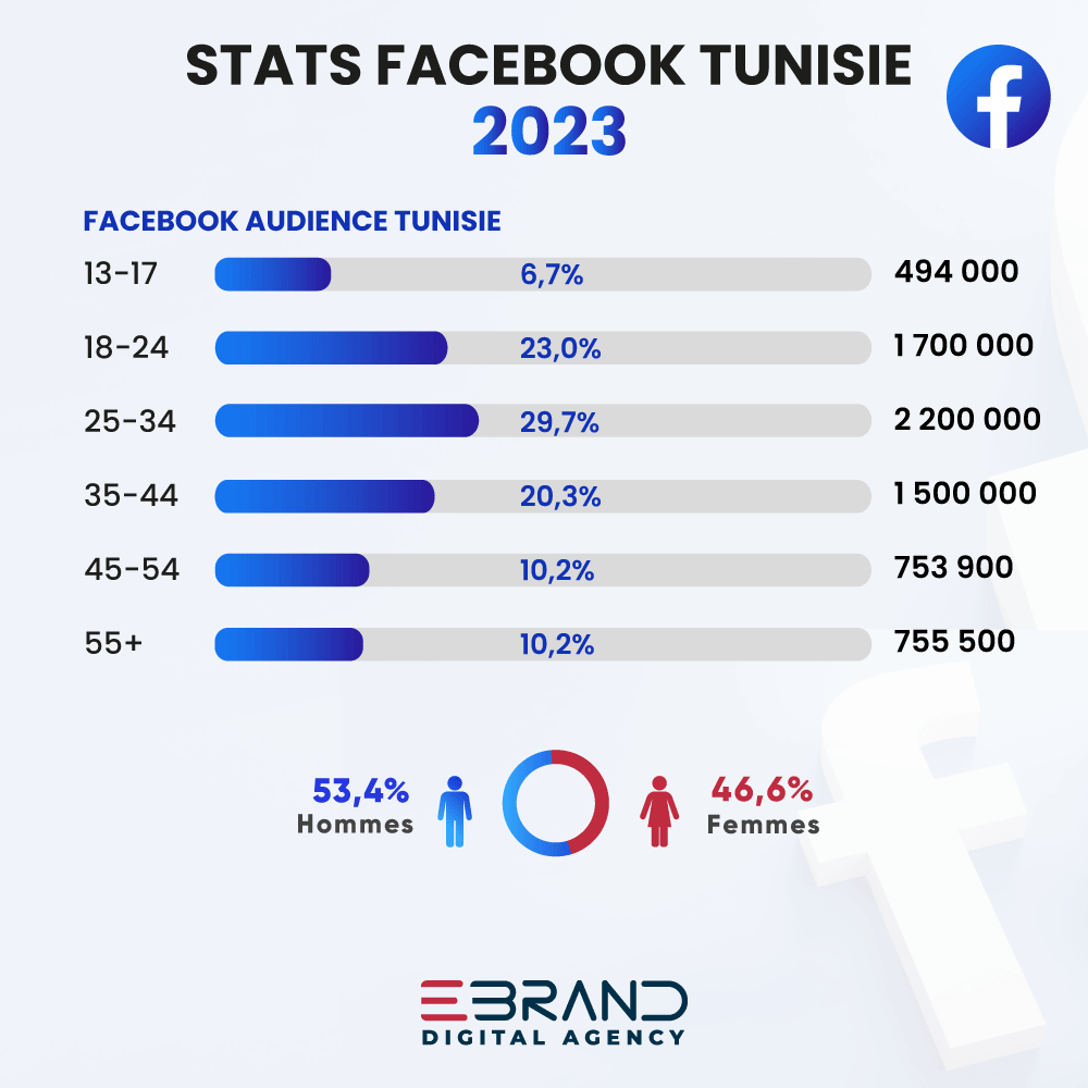 Statistiques Facebook Tunisie 2023 chiffres clés des réseaux sociaux en Tunisie 2023