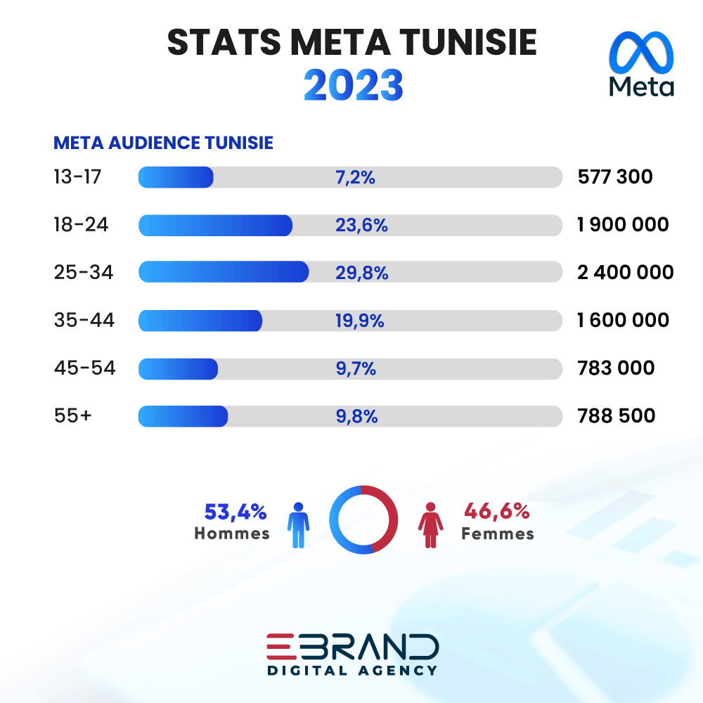 Statistiques Meta Tunisie 2023 chiffres clés des réseaux sociaux en Tunisie 2023